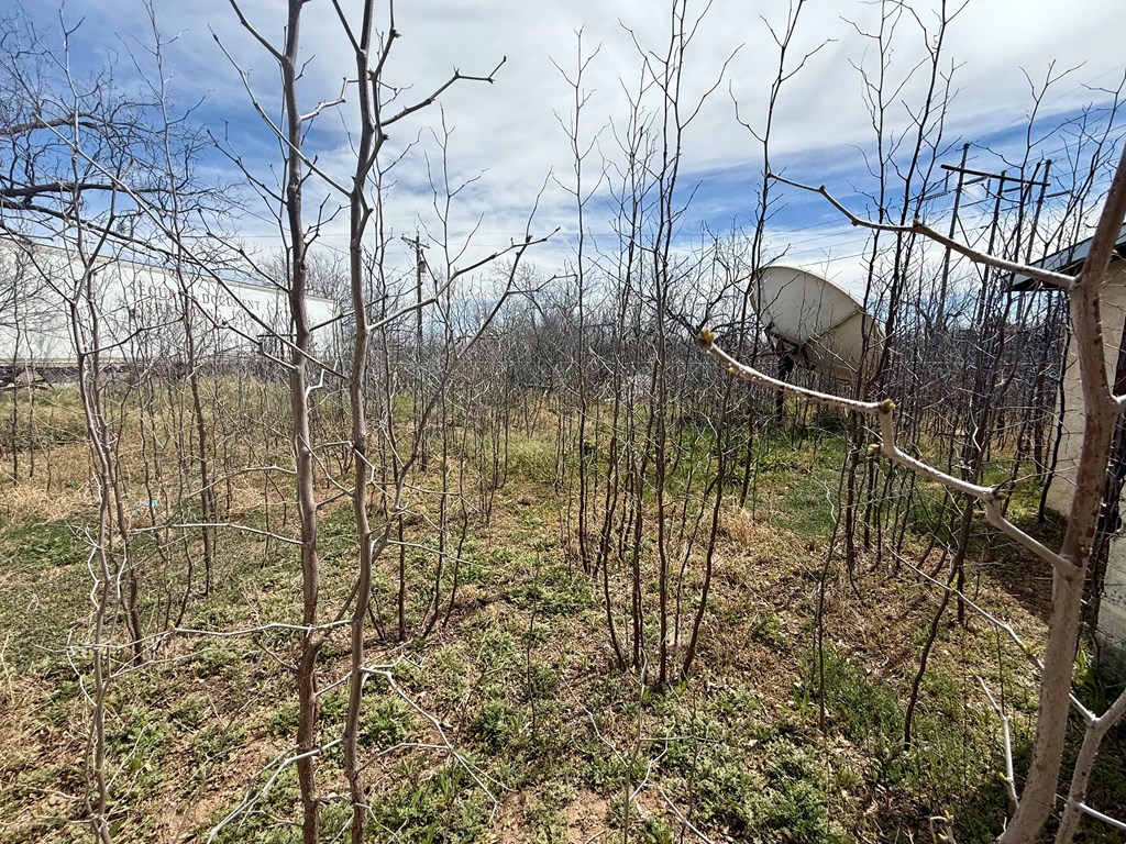 2001 Old Ballinger Hwy, San Angelo, Texas image 18