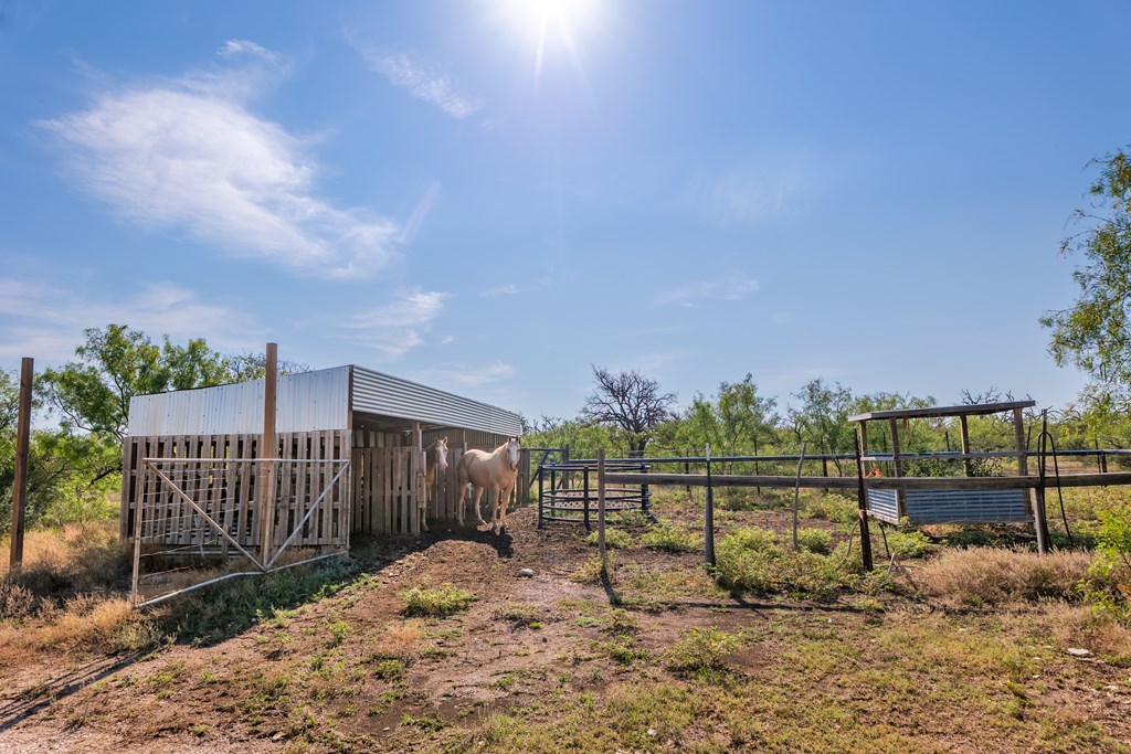 631 Timber Trail, Eden, Texas image 28