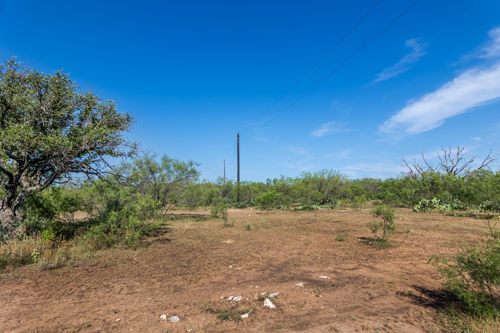 631 Timber Trail, Eden, Texas image 22