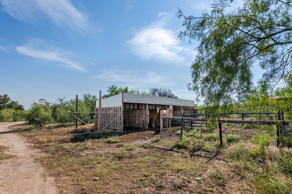 631 Timber Trail, Eden, Texas image 27