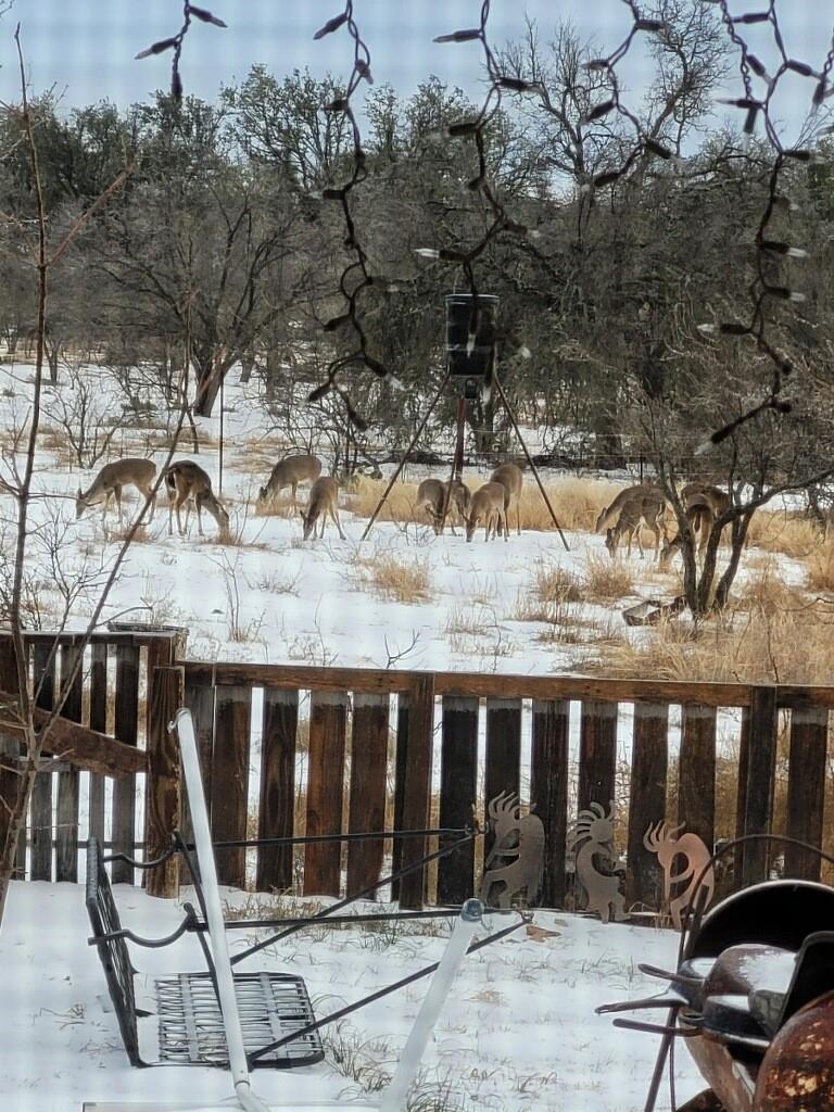 631 Timber Trail, Eden, Texas image 38