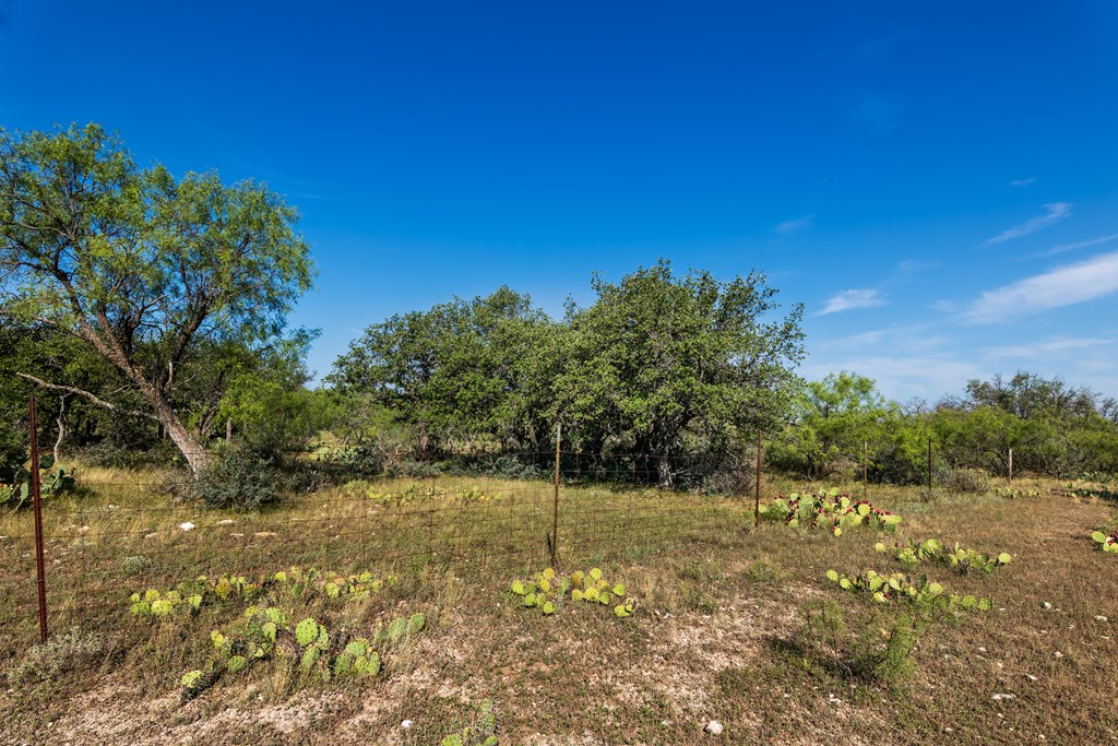 631 Timber Trail, Eden, Texas image 7