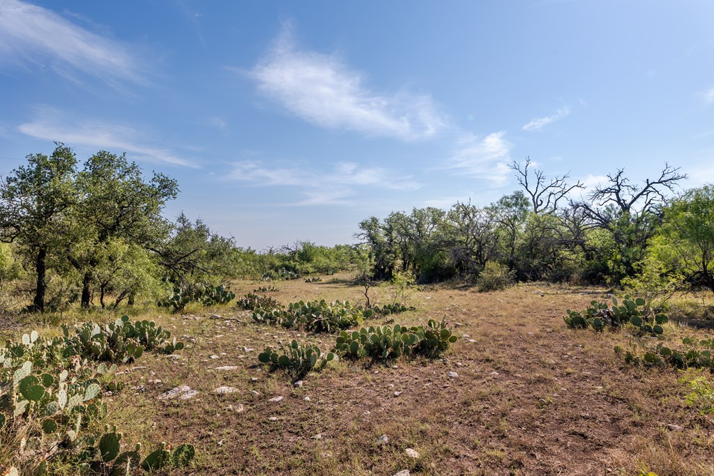 631 Timber Trail, Eden, Texas image 23