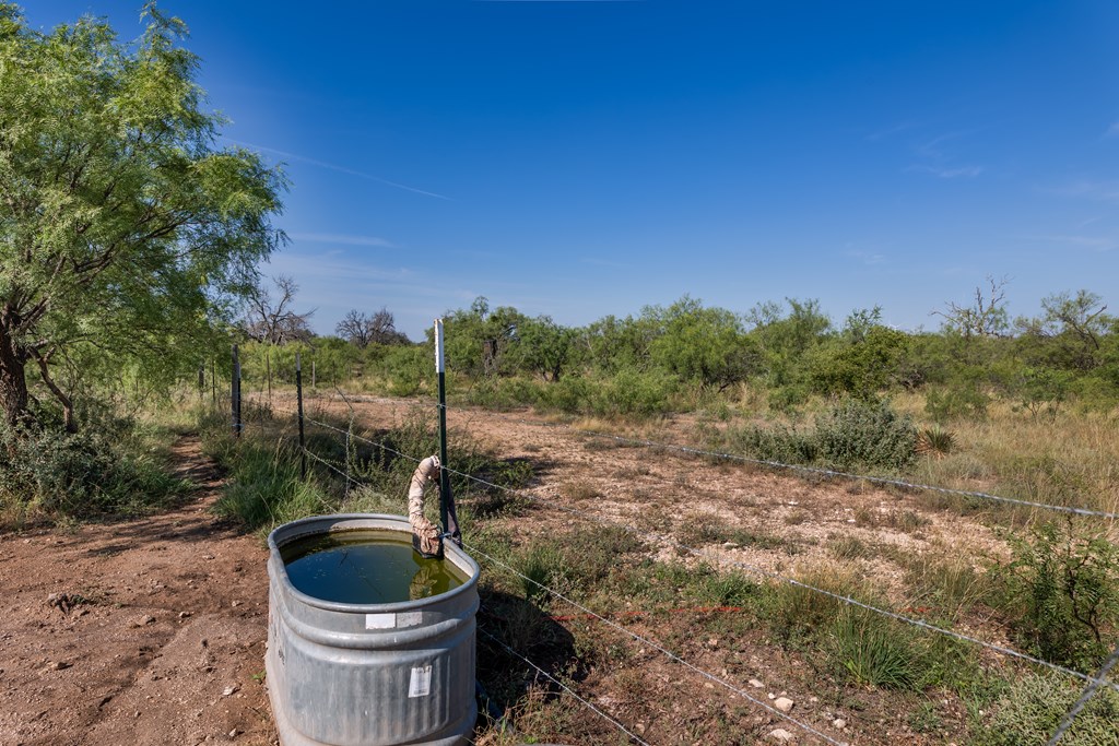 631 Timber Trail, Eden, Texas image 26