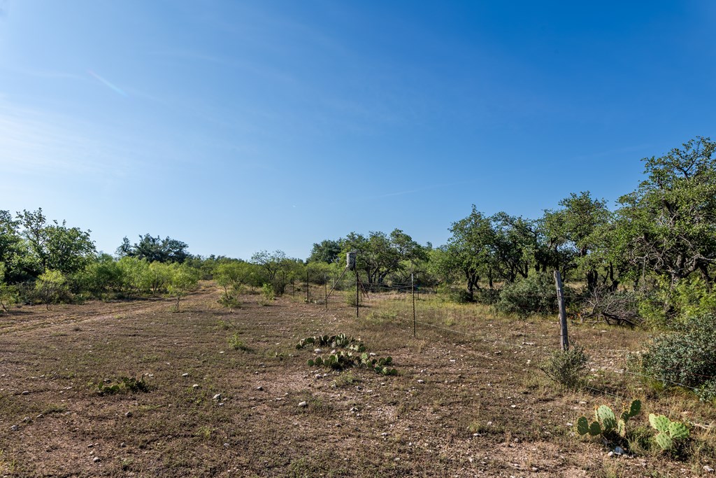 631 Timber Trail, Eden, Texas image 8