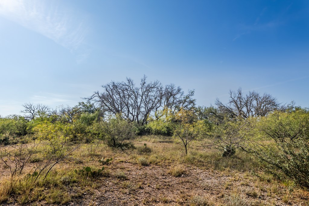 631 Timber Trail, Eden, Texas image 18