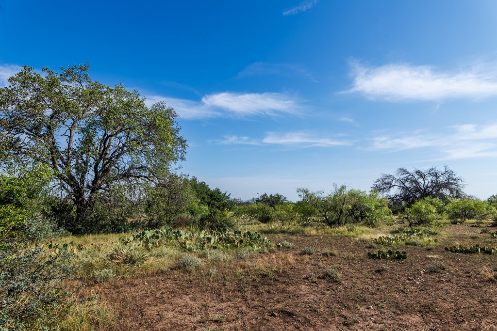 631 Timber Trail, Eden, Texas image 16