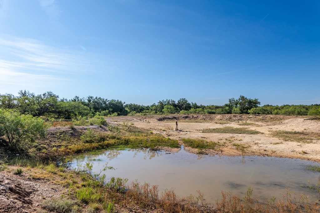 631 Timber Trail, Eden, Texas image 10