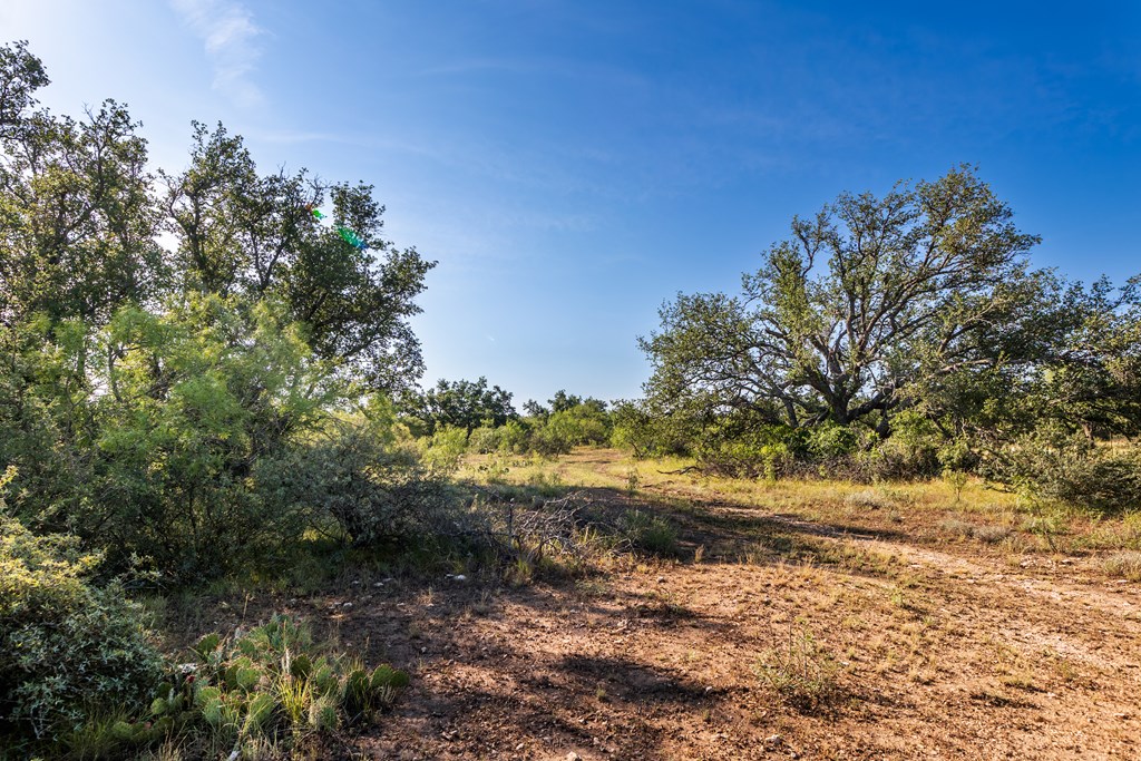 631 Timber Trail, Eden, Texas image 4