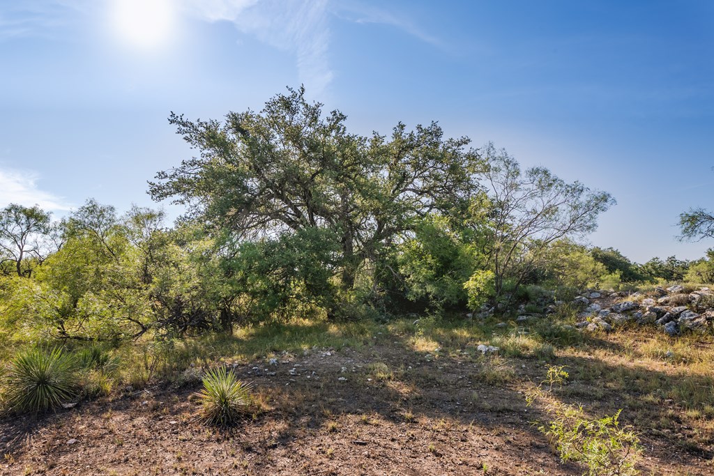 631 Timber Trail, Eden, Texas image 11