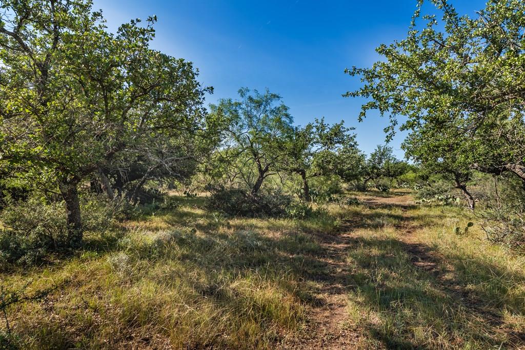 631 Timber Trail, Eden, Texas image 1