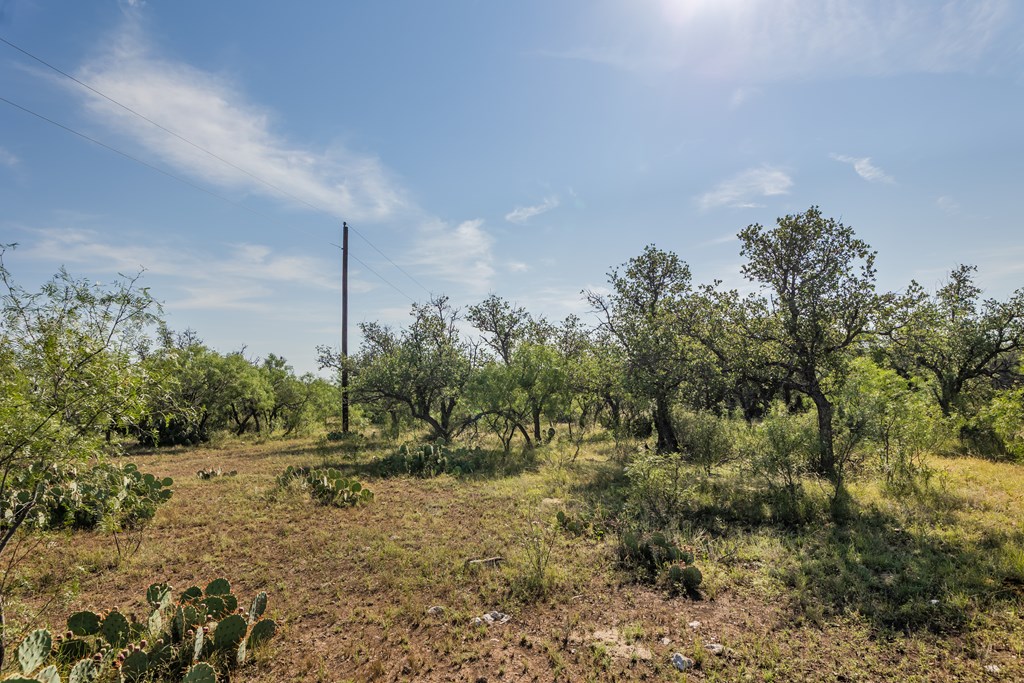 631 Timber Trail, Eden, Texas image 21