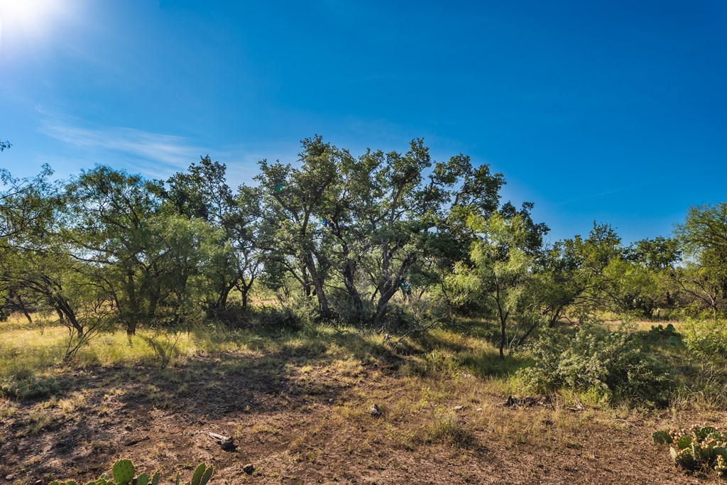 631 Timber Trail, Eden, Texas image 6