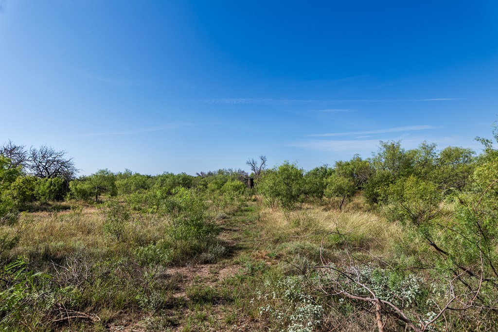 631 Timber Trail, Eden, Texas image 30