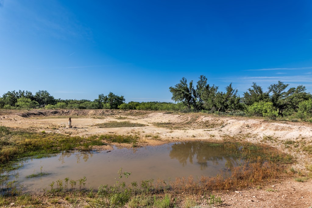 631 Timber Trail, Eden, Texas image 9