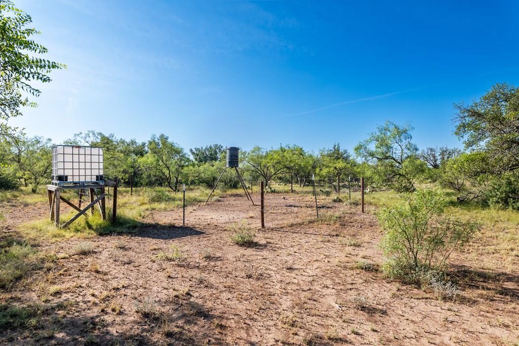 631 Timber Trail, Eden, Texas image 2