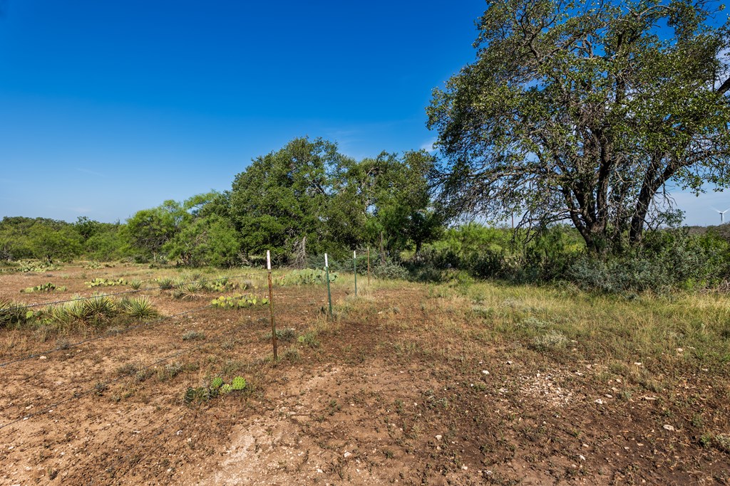 631 Timber Trail, Eden, Texas image 14