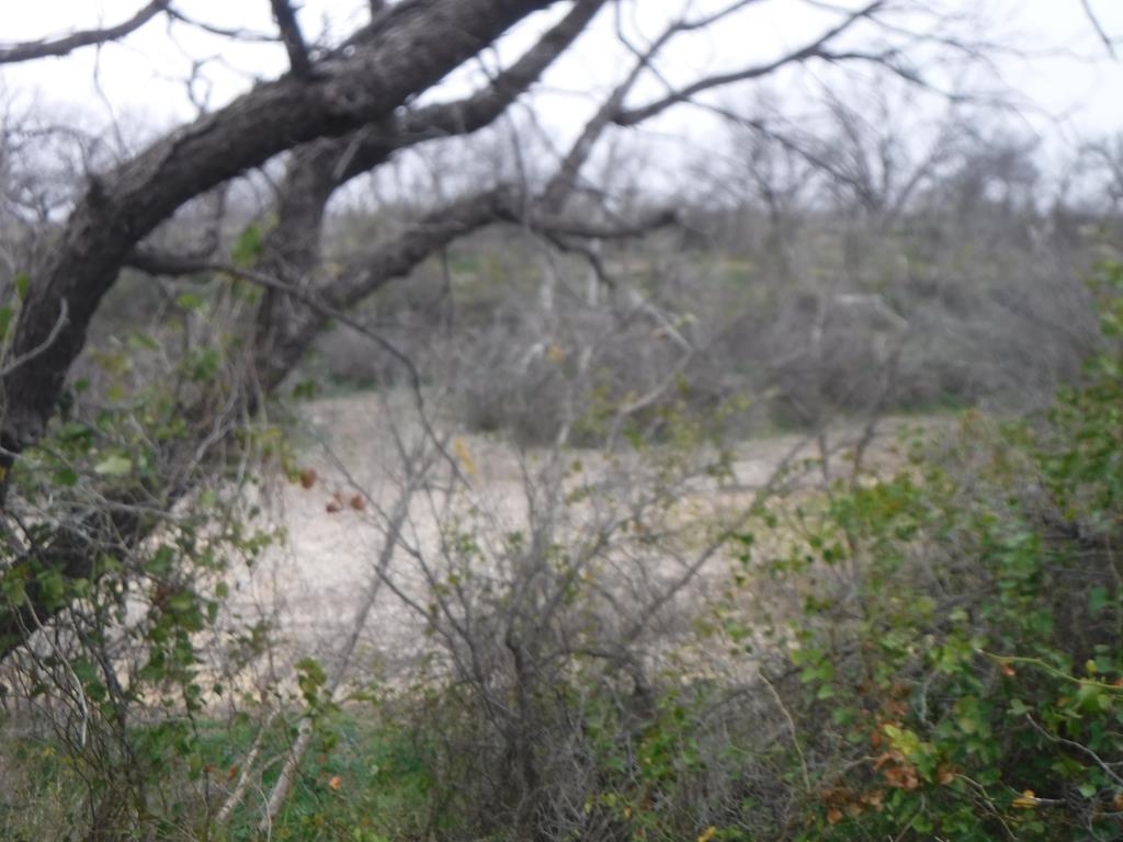 11037 Buck Hollow Loop #9, Carlsbad, Texas image 9