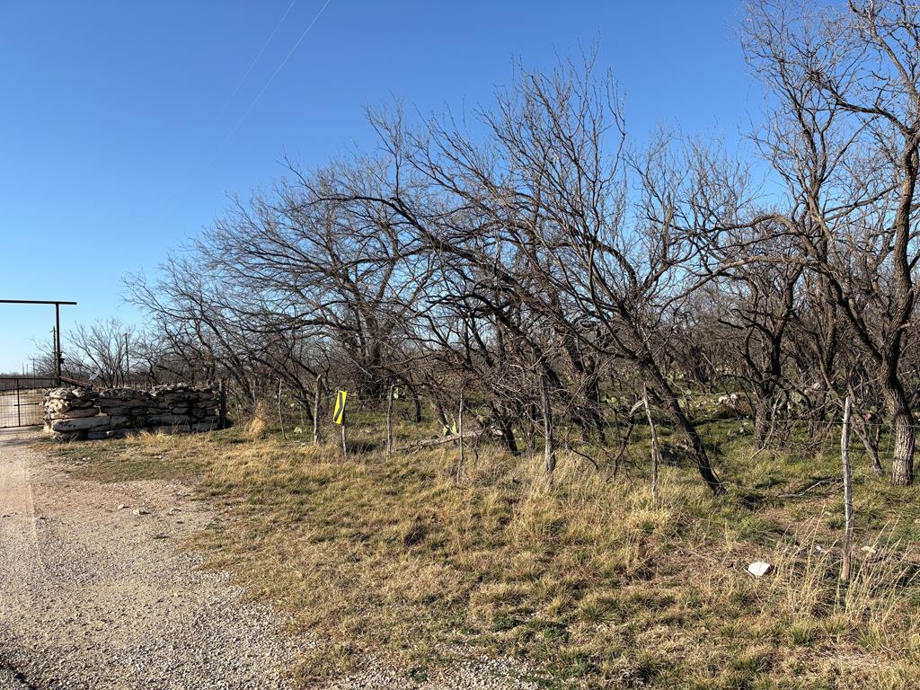 11037 Buck Hollow Loop #9, Carlsbad, Texas image 1