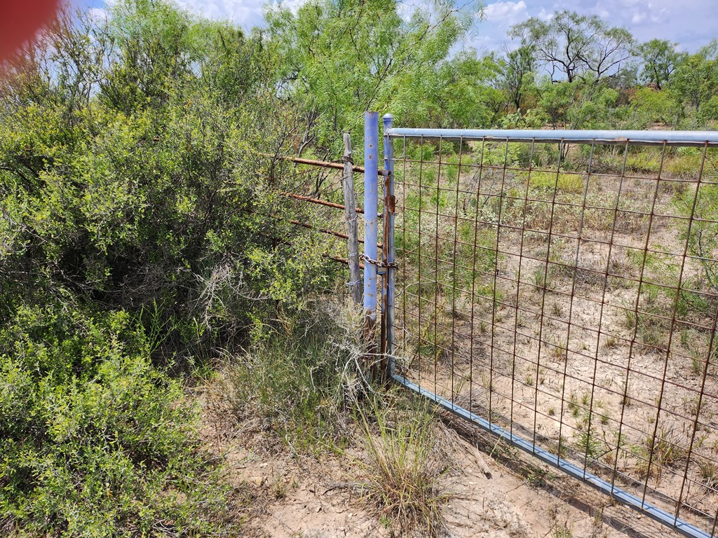 5738 Private Rd 1744 #APRX. 6.94 ACRES, Paint Rock, Texas image 5