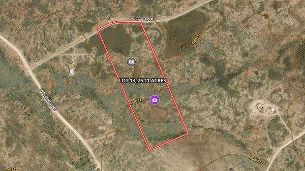 TRACT 13 SIERRA LA RANA, ALPINE, TX 79830 - Image 9ce552f293d3e866ab859d4ee3d4c430/2616621446