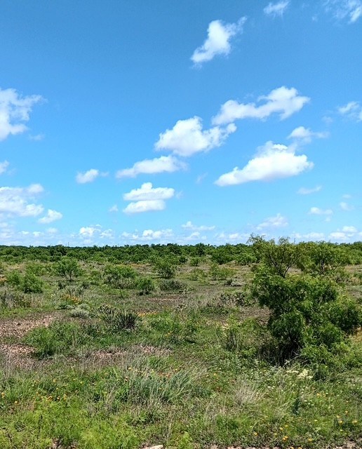 County Rd 288 #AB393, Ballinger, Texas image 5