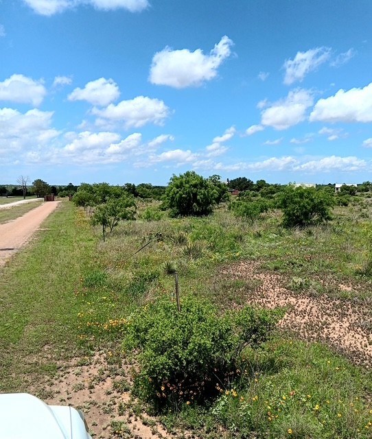 County Rd 288 #AB393, Ballinger, Texas image 4