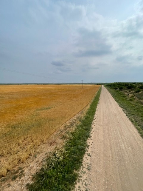 000 County Rd 289, Ballinger, Texas image 10