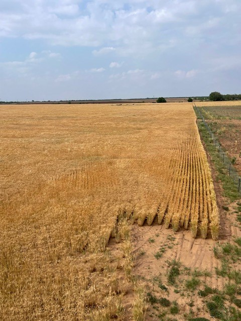 000 County Rd 289, Ballinger, Texas image 4