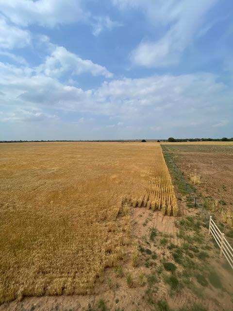 000 County Rd 289, Ballinger, Texas image 9