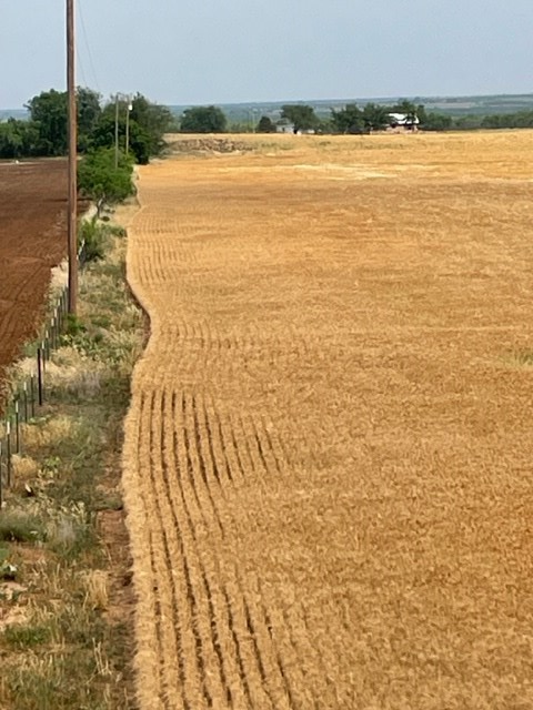 000 County Rd 289, Ballinger, Texas image 3