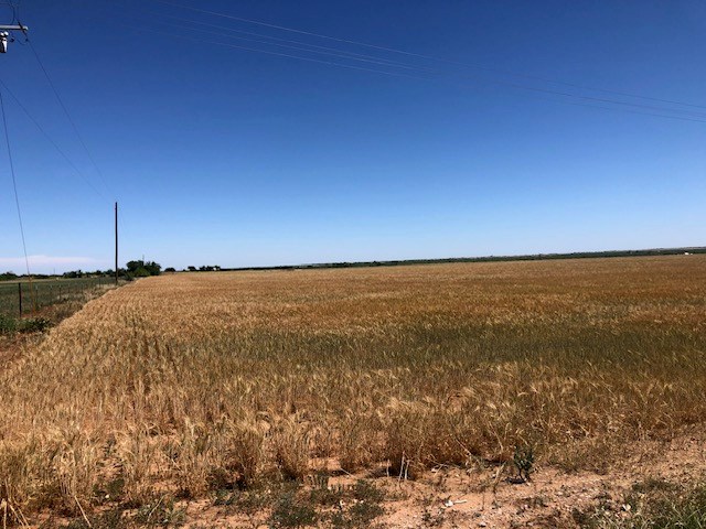 000 County Rd 289, Ballinger, Texas image 11