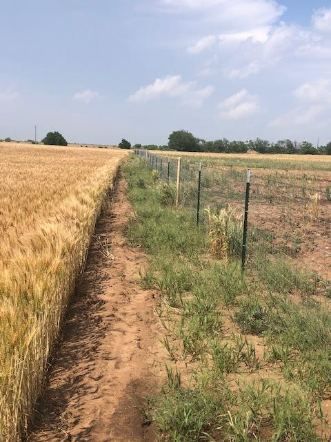 000 County Rd 289, Ballinger, Texas image 6