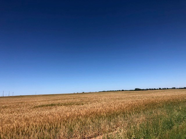 000 County Rd 289, Ballinger, Texas image 12