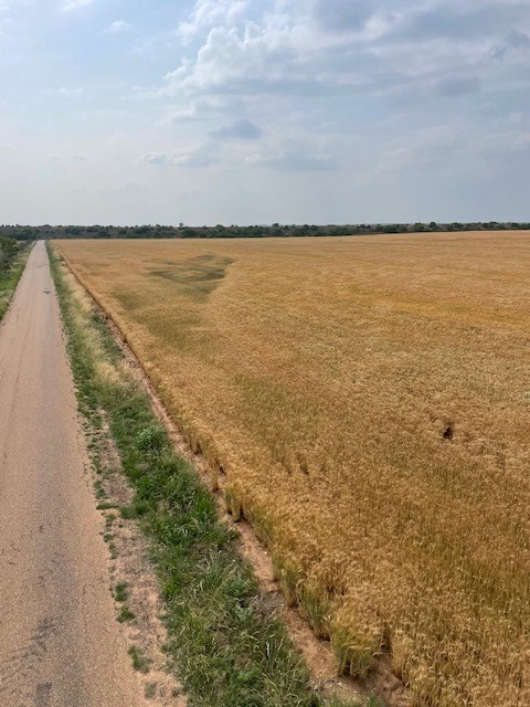 000 County Rd 289, Ballinger, Texas image 5