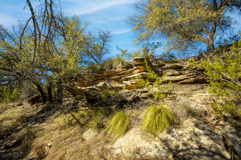 Poverty Canyon Rd, Bronte, Texas image 21