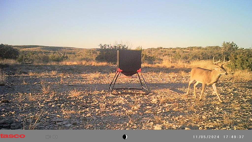 Poverty Canyon Rd, Bronte, Texas image 37