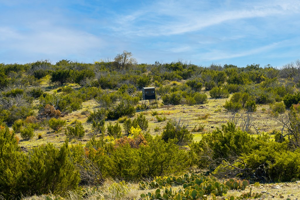 Poverty Canyon Rd, Bronte, Texas image 25