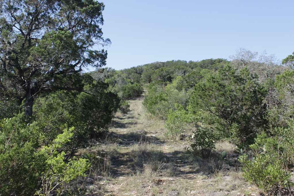 1976 W Cedar Creek Dr, Leakey, Texas image 9