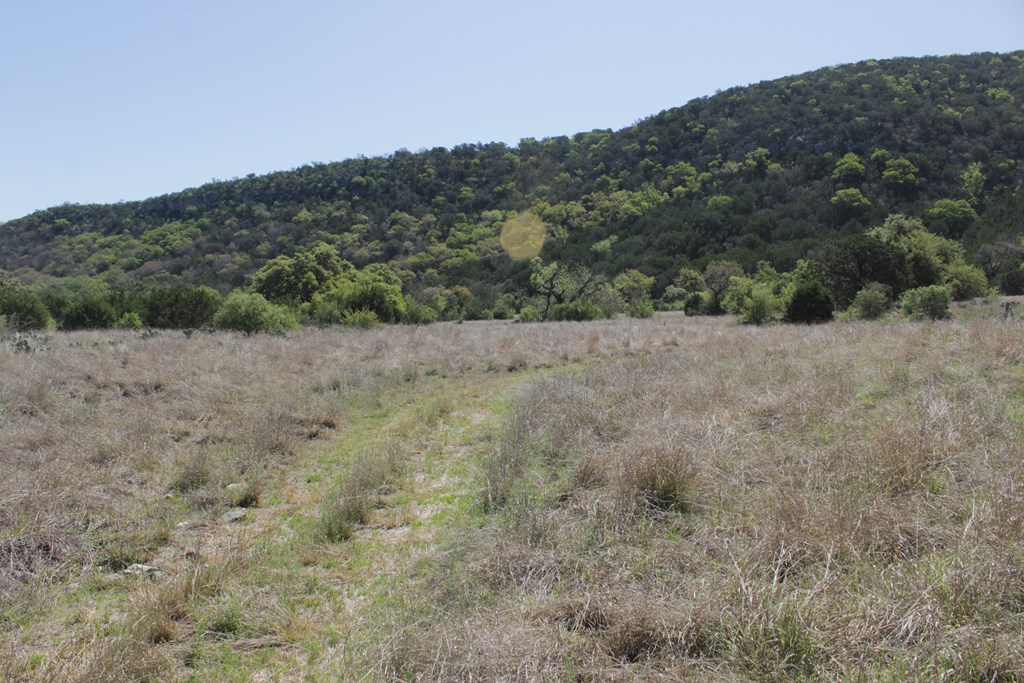 1976 W Cedar Creek Dr, Leakey, Texas image 3
