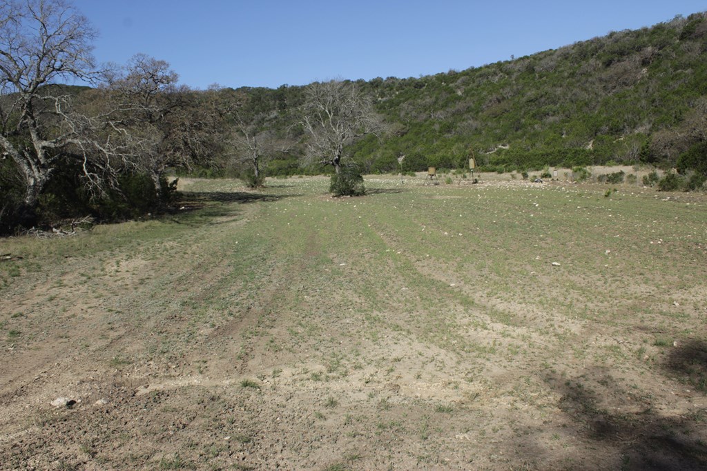 1976 W Cedar Creek Dr, Leakey, Texas image 11