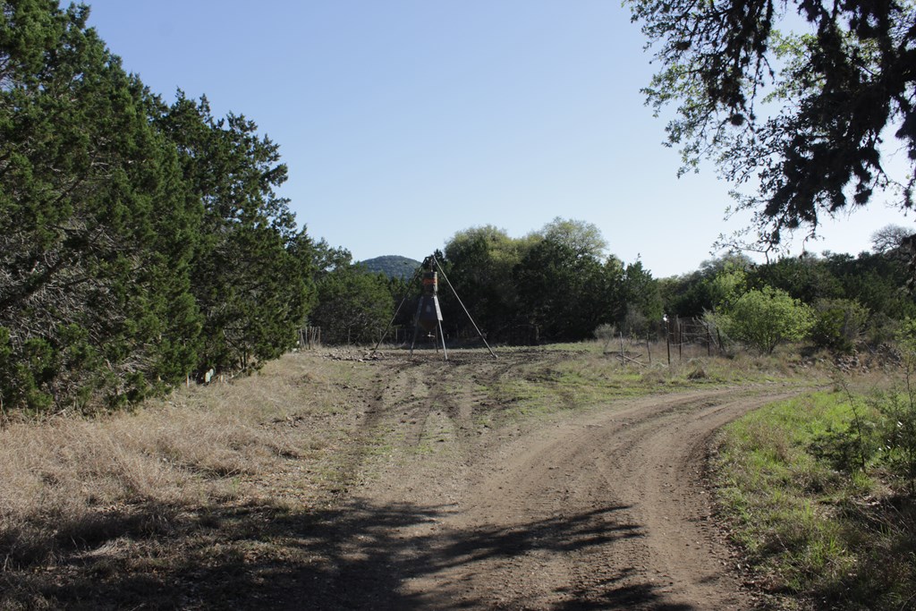 1976 W Cedar Creek Dr, Leakey, Texas image 12