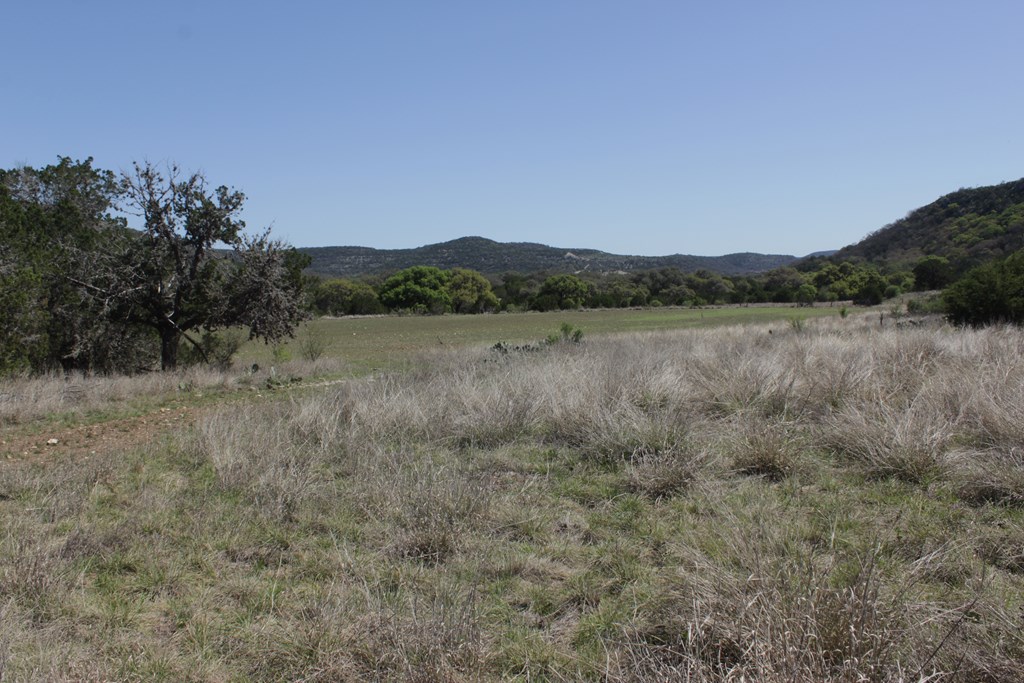 1976 W Cedar Creek Dr, Leakey, Texas image 4