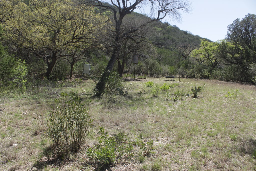 1976 W Cedar Creek Dr, Leakey, Texas image 21