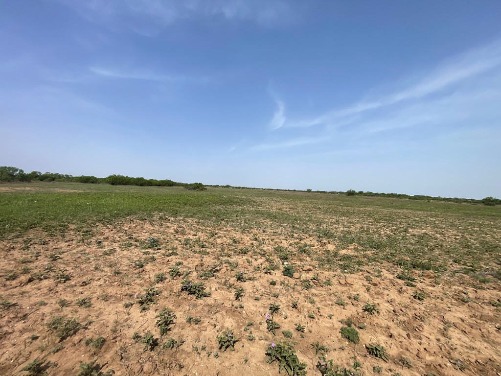 2521 Cr 414, Brady, Texas image 4