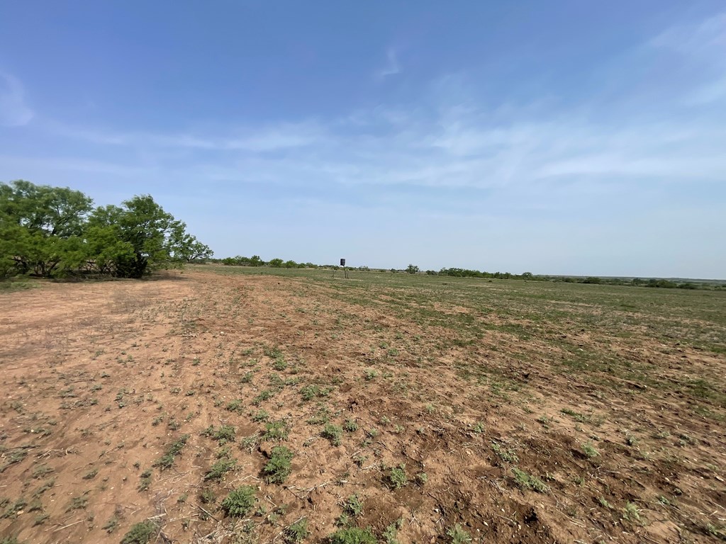 2521 Cr 414, Brady, Texas image 5