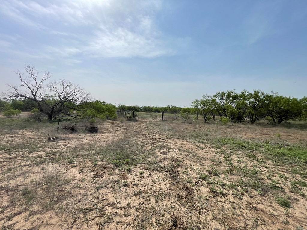 2521 Cr 414, Brady, Texas image 3