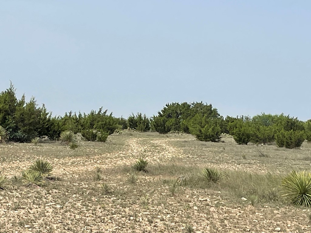 2521 Cr 414, Brady, Texas image 8
