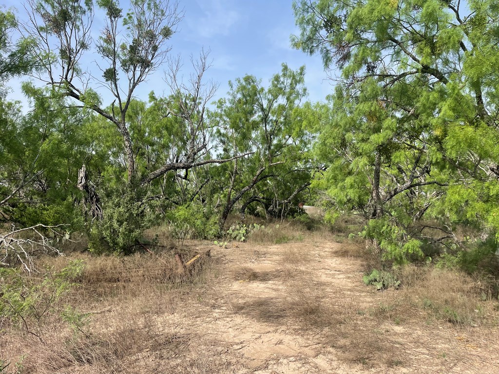 2521 Cr 414, Brady, Texas image 2