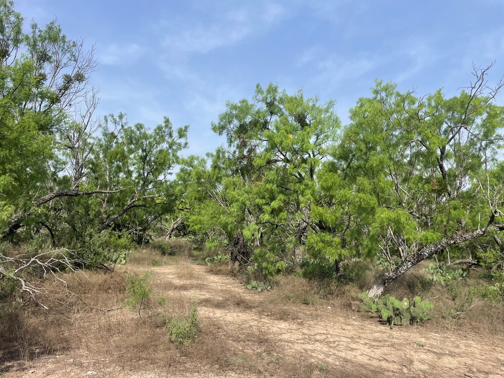 2521 Cr 414, Brady, Texas image 7
